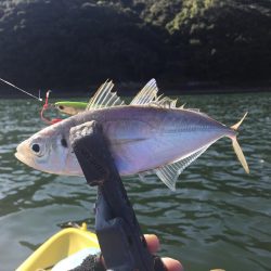 五島でカヤックフィッシング